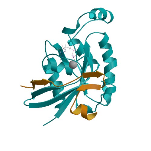 Cdc42 complex with PAK