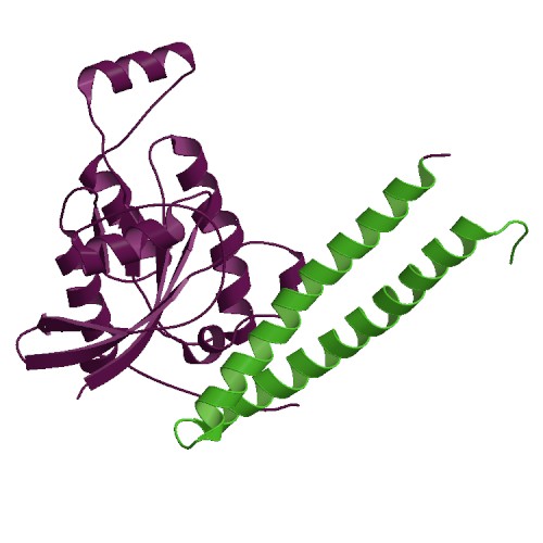 HR1b in complex with Rac1