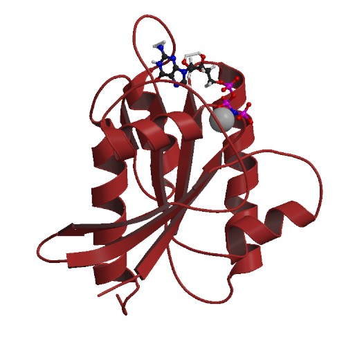 RalB structure