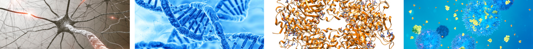 Biochemistry and Molecular Biology Biochemistry and Molecular Biology (BMB) image
