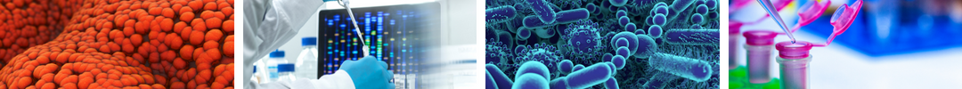 Information about Part II Biochemistry