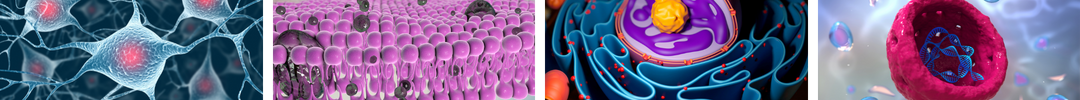 Part IA Biology of Cells image