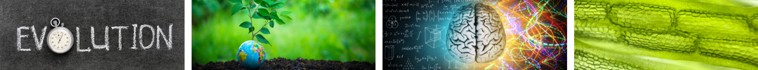 Part IA Evolution and Behaviour Part IA Evolution and Behaviour image