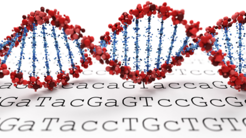 Biochemistry and Molecular Biology (BMB)