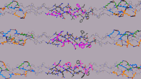 Crystal structures of the three computationally-designed triple-helical collagen peptides that mimic the three possible COL1 molecular structures.