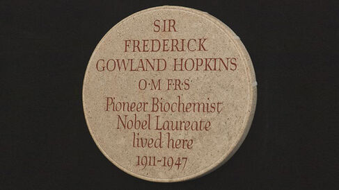 The Hopkins commemorative plaque