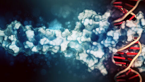 An artist's impression of a transcription factor binding to DNA