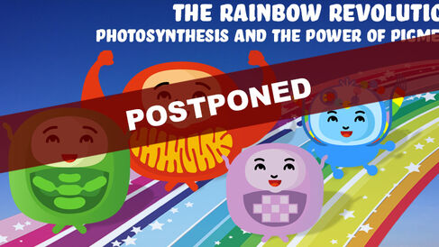 The Rainbow Revolution: Photosynthesis and the Power of Pigments.