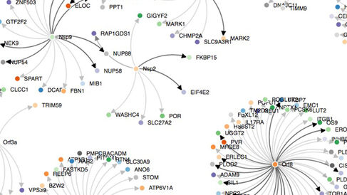 SARS-CoV-2-human protein-protein interactions.