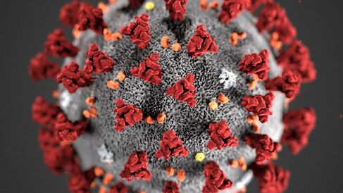 Illustration of the SARS-CoV-2 virus.