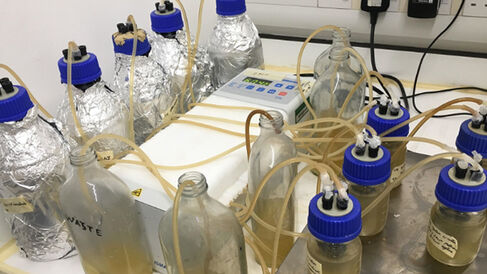 Laboratory model of human airways.