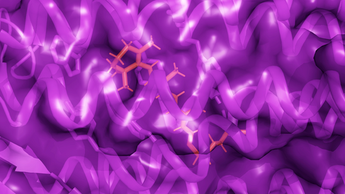 NMR