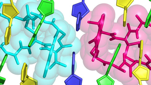 Crystal structure of the echinomycin–TT duplex