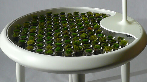 The 'Moss Table' concept design