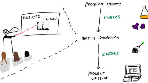 Overview of the structure of Part III students' research projects.