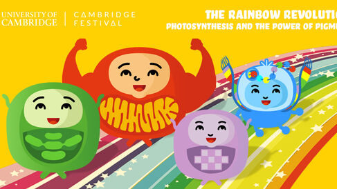 The Rainbow Revolution: Photosynthesis and the Power of Pigments.