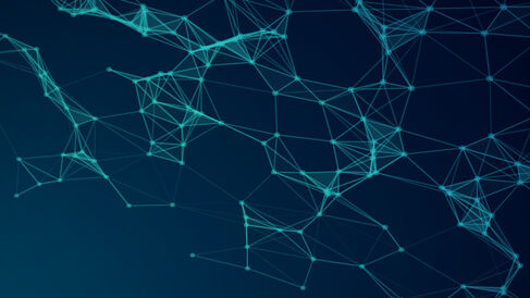 Flexible Nets: An artist's impression