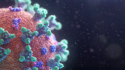 Artist's impression of the SARS-CoV-2 (COVID-19) virus.