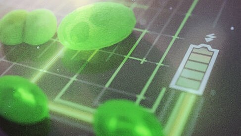 Artist's impression of a biophotovoltaic cell