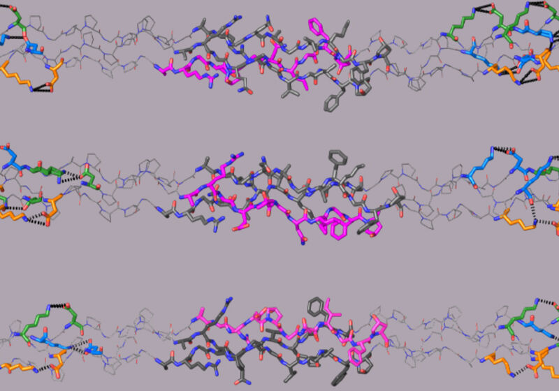 Crystal structures of the three computationally-designed triple-helical collagen peptides that mimic the three possible COL1 molecular structures.