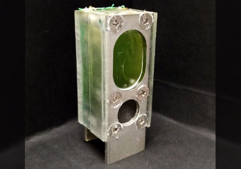 A container holding the blue-green algae that powered a microprocessor.