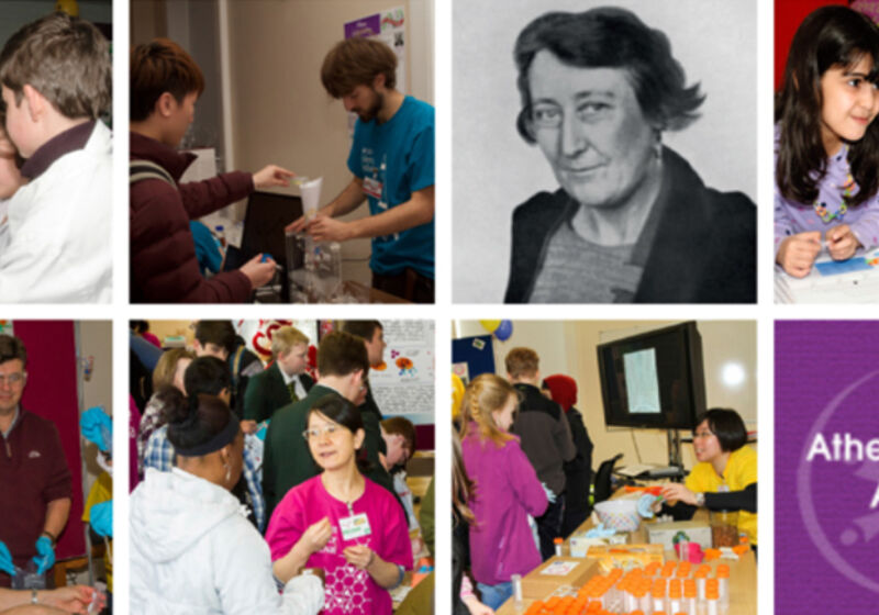 Equality and Diversity in the Department