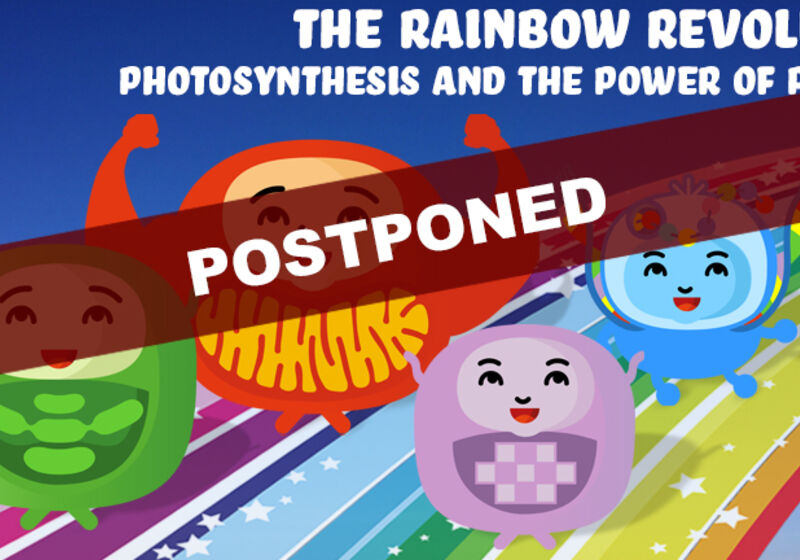 The Rainbow Revolution: Photosynthesis and the Power of Pigments.