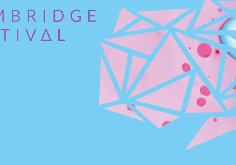 The Cambridge Festival 2021.