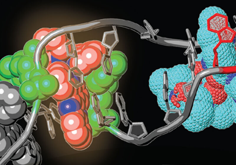 An artist's impression of DNA targeting by small molecules