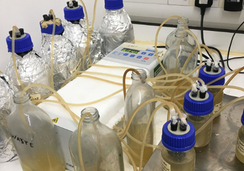 Laboratory model of human airways.