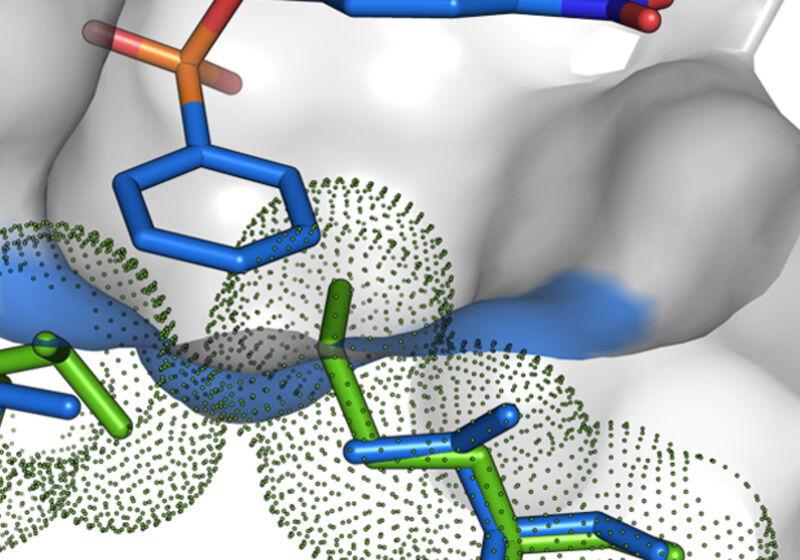 Cut-through representation of a P.aeruginosa arylsulfatase mutant, binding the newly evolved phosphonate monoester substrate.