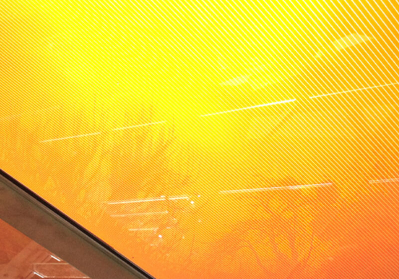 Tinted solar panels fitted to a greenhouse roof.