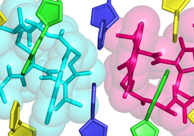 Crystal structure of the echinomycin–TT duplex