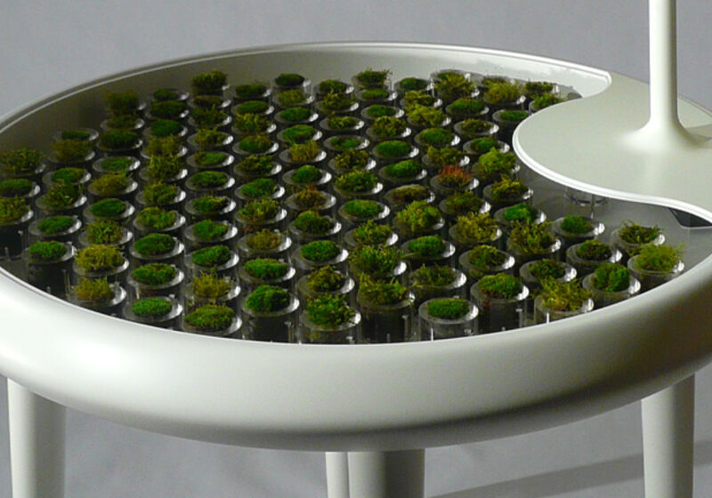 The 'Moss Table' concept design