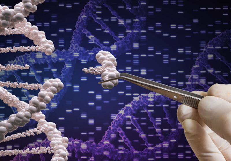 An artist's impression of DNA editing