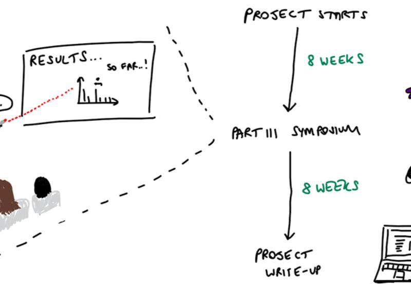 Overview of the structure of Part III students' research projects.