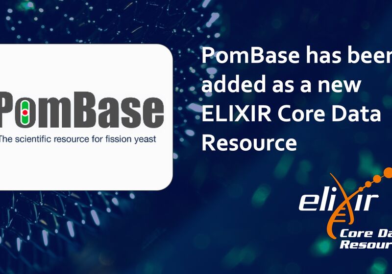 PomBase
