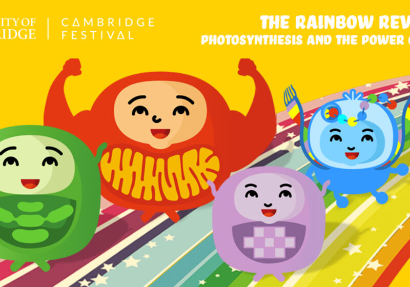 The Rainbow Revolution: Photosynthesis and the Power of Pigments.