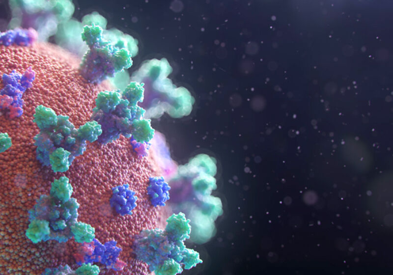 Artist's impression of the SARS-CoV-2 (COVID-19) virus.