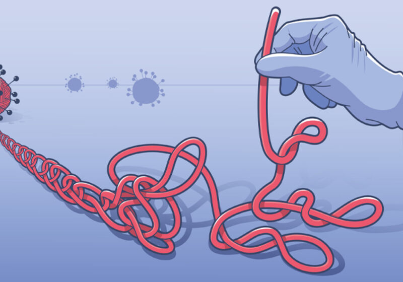 Unwinding the secrets of the coronavirus genome, loop by loop.