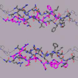 Crystal structures of the three computationally-designed triple-helical collagen peptides that mimic the three possible COL1 molecular structures.