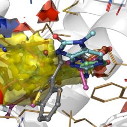 Hotspot map of the DNA-PKcs ATP binding site with inhibitors docked in.