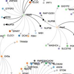 SARS-CoV-2-human protein-protein interactions.