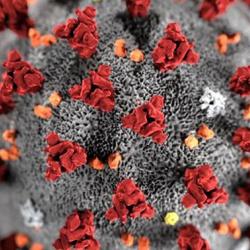 Illustration of the SARS-CoV-2 virus.