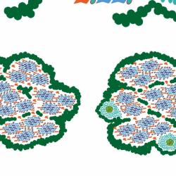 Fig. 5: Model of action for callose integration in lignocellulosic biomass. From: Ectopic callose deposition into woody biomass modulates the nano-architecture of macrofibrils