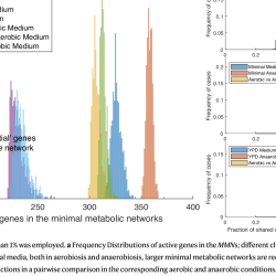 Fig. 1: Basic properties of the S. cerevisiae MMNs under 6 different growth conditions. From: Minimisation of metabolic networks defines a new functional class of genes.