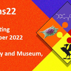 G-proteins Meeting 2022 (advertisement)