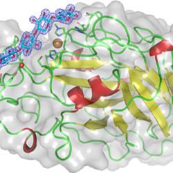 Structure of the LsAA9A enzyme bound to a carbohydrate chain