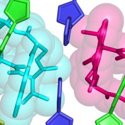 Crystal structure of the echinomycin–TT duplex
