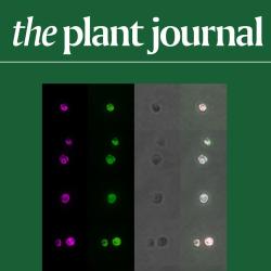 Plant Journal cover